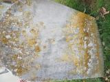 image of grave number 875920